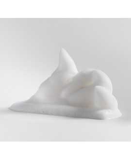 Modelling Curl Mousse