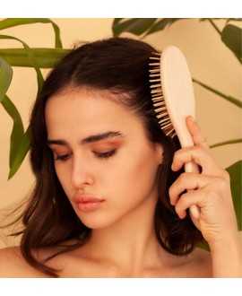 Medium Oval Brush