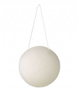Konjac Sponge