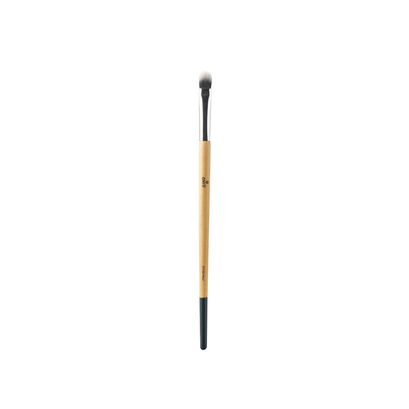 Shader Brush for eyeshadows