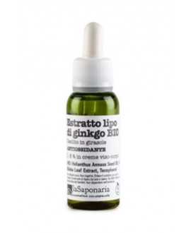 Gingko Extract