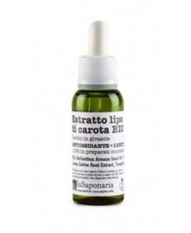 Organic Carrot Extract