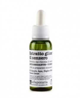 Ginger Extract - 30 ml