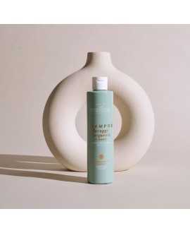Frequent Wash Shampoo With White Tea