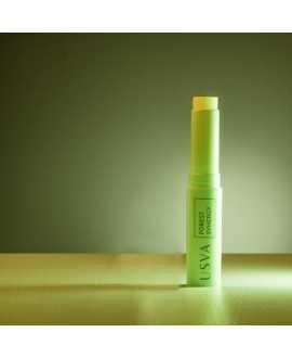 Forest Synergy Moisturizing Lip Balm